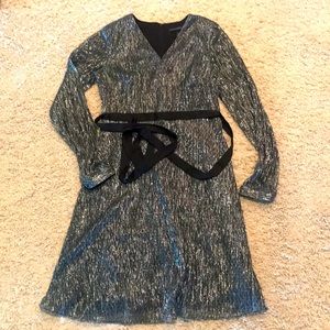 Banana Republic Black Silver Shimmery Dress